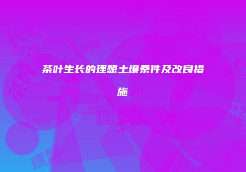 茶叶生长的理想土壤条件及改良措施