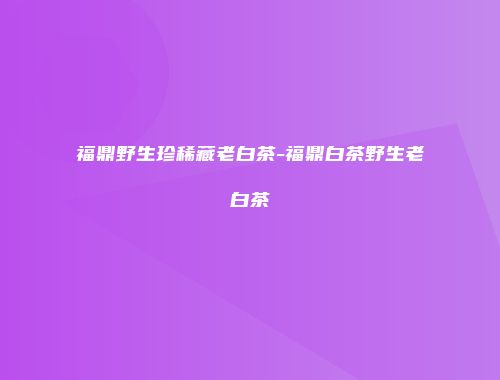 福鼎野生珍稀藏老白茶-福鼎白茶野生老白茶