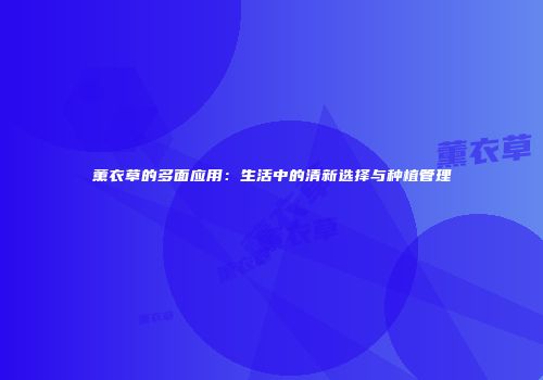 薰衣草的多面应用：生活中的清新选择与种植管理