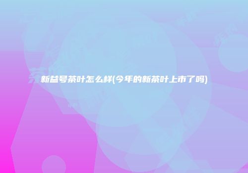 新益号茶叶怎么样(今年的新茶叶上市了吗)