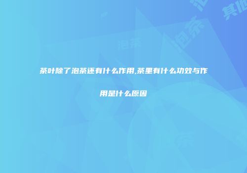 茶叶除了泡茶还有什么作用,茶里有什么功效与作用是什么原因