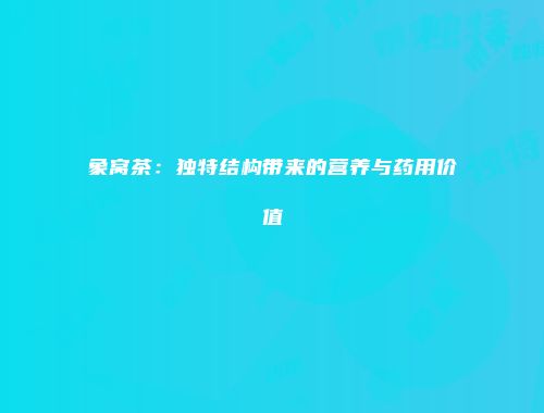 象窝茶：独特结构带来的营养与药用价值