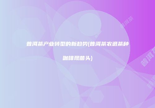 普洱茶产业转型的新趋势(普洱茶农退茶种咖啡现苗头)