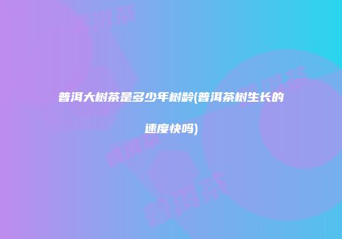 普洱大树茶是多少年树龄(普洱茶树生长的速度快吗)