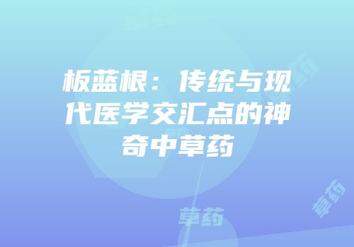 板蓝根：传统与现代医学交汇点的神奇中草药