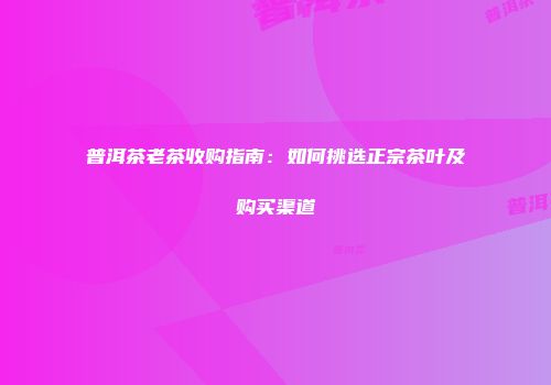 普洱茶老茶收购指南：如何挑选正宗茶叶及购买渠道