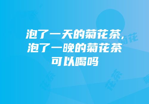 泡了一天的菊花茶,泡了一晚的菊花茶可以喝吗