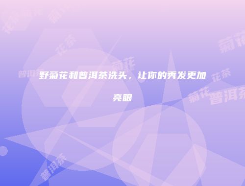 野菊花和普洱茶洗头，让你的秀发更加亮眼