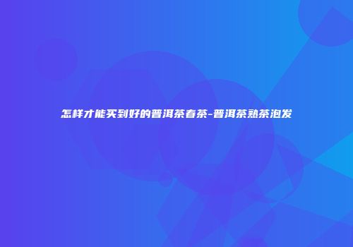怎样才能买到好的普洱茶春茶-普洱茶熟茶泡发