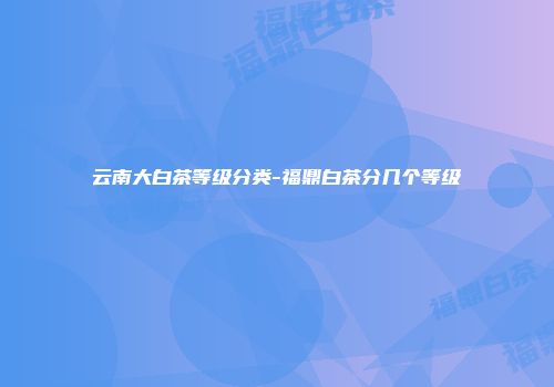 云南大白茶等级分类-福鼎白茶分几个等级