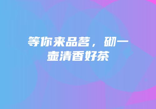 等你来品茗，砌一壶清香好茶