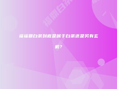 福福鼎白茶到底是属于白茶还是另有玄机？