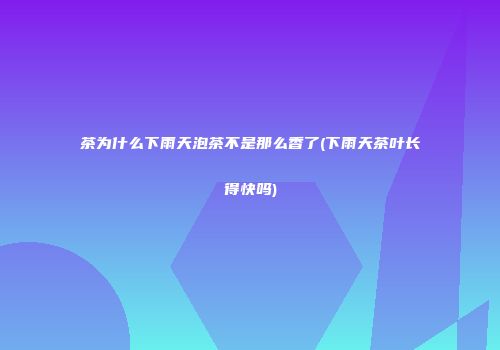 茶为什么下雨天泡茶不是那么香了(下雨天茶叶长得快吗)