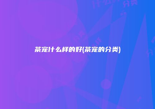 茶宠什么样的好(茶宠的分类)