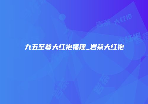 九五至尊大红袍福建_岩茶大红袍