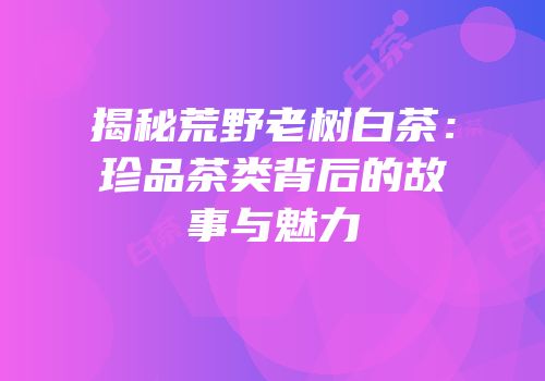 揭秘荒野老树白茶：珍品茶类背后的故事与魅力