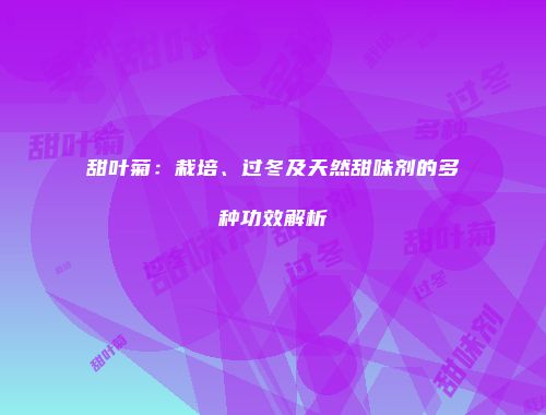 甜叶菊：栽培、过冬及天然甜味剂的多种功效解析
