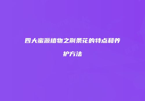 四大蜜源植物之荆条花的特点和养护方法