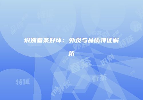 识别春茶好坏：外观与品质特征解析