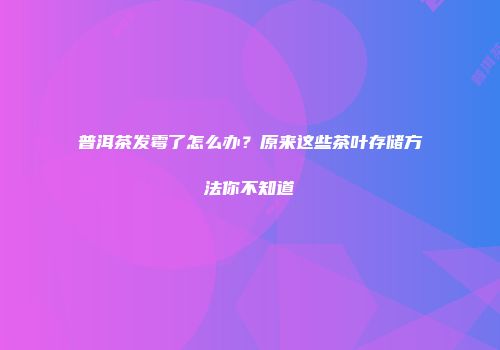 普洱茶发霉了怎么办？原来这些茶叶存储方法你不知道