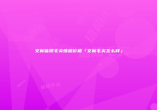文新信阳毛尖悟道价格「文新毛尖怎么样」