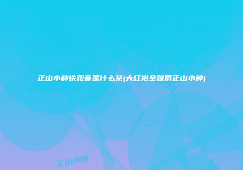 正山小种铁观音是什么茶(大红袍金骏眉正山小种)