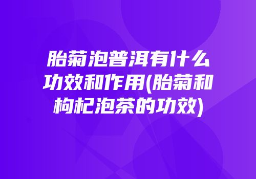 胎菊泡普洱有什么功效和作用(胎菊和枸杞泡茶的功效)