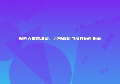探索天星普洱茶：名号解析与茶具搭配指南