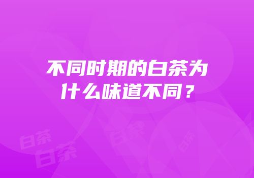 不同时期的白茶为什么味道不同？