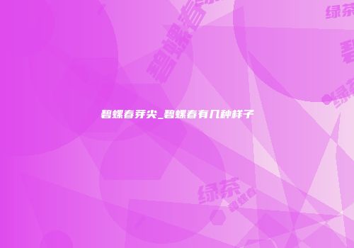 碧螺春芽尖_碧螺春有几种样子