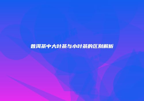 普洱茶中大叶茶与小叶茶的区别解析