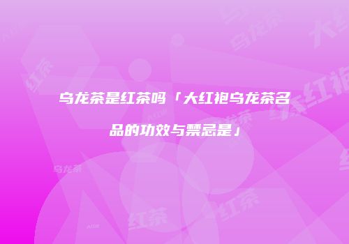 乌龙茶是红茶吗「大红袍乌龙茶名品的功效与禁忌是」