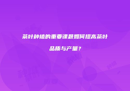 茶叶种植的重要课题如何提高茶叶品质与产量？