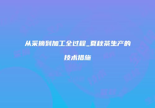 从采摘到加工全过程_夏秋茶生产的技术措施