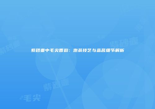 紫砂壶中毛尖香韵：泡茶技艺与品茗细节解析