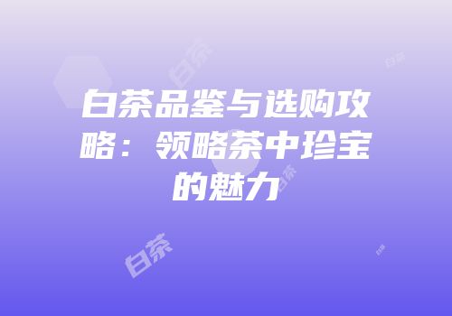 白茶品鉴与选购攻略：领略茶中珍宝的魅力