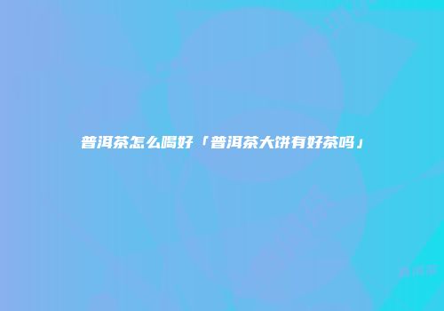 普洱茶怎么喝好「普洱茶大饼有好茶吗」