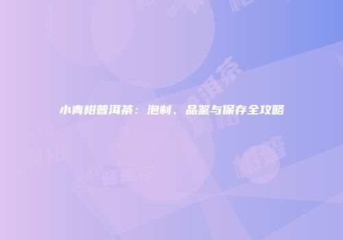 小青柑普洱茶：泡制、品鉴与保存全攻略