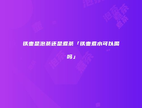 铁壶是泡茶还是煮茶「铁壶煮水可以喝吗」