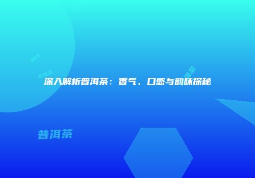 深入解析普洱茶：香气、口感与韵味探秘