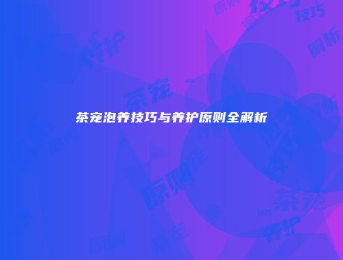 茶宠泡养技巧与养护原则全解析