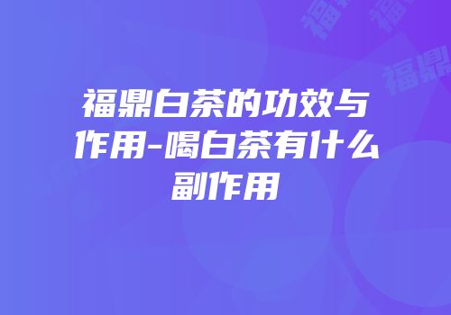 福鼎白茶的功效与作用-喝白茶有什么副作用