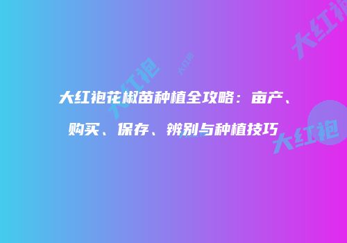 大红袍花椒苗种植全攻略：亩产、购买、保存、辨别与种植技巧