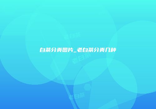 白茶分类图片_老白茶分类几种