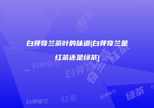 白芽奇兰茶叶的味道(白芽奇兰是红茶还是绿茶)