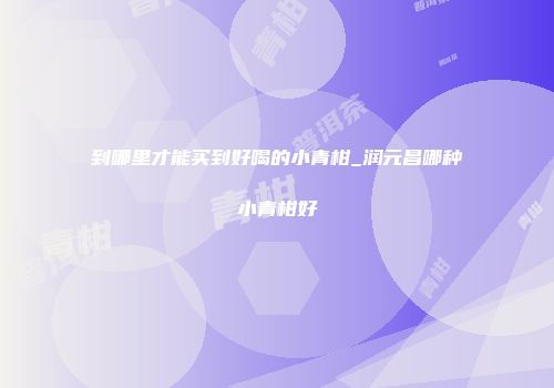 到哪里才能买到好喝的小青柑_润元昌哪种小青柑好