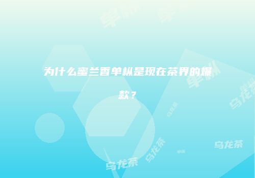 为什么蜜兰香单枞是现在茶界的爆款？