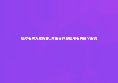 信阳毛尖为啥好香_黄山毛峰和信阳毛尖哪个好喝