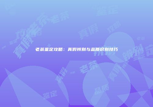 老茶鉴定攻略：真假辨别与品质识别技巧