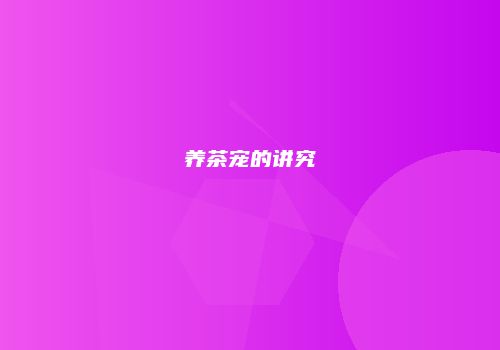 养茶宠的讲究